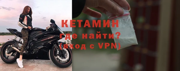 гидра Абаза